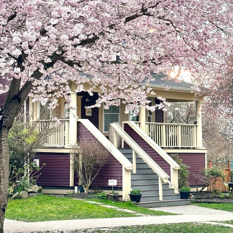 Grow Your Savings For The Future With RRSP, TFSA and&nbsp;FHSA