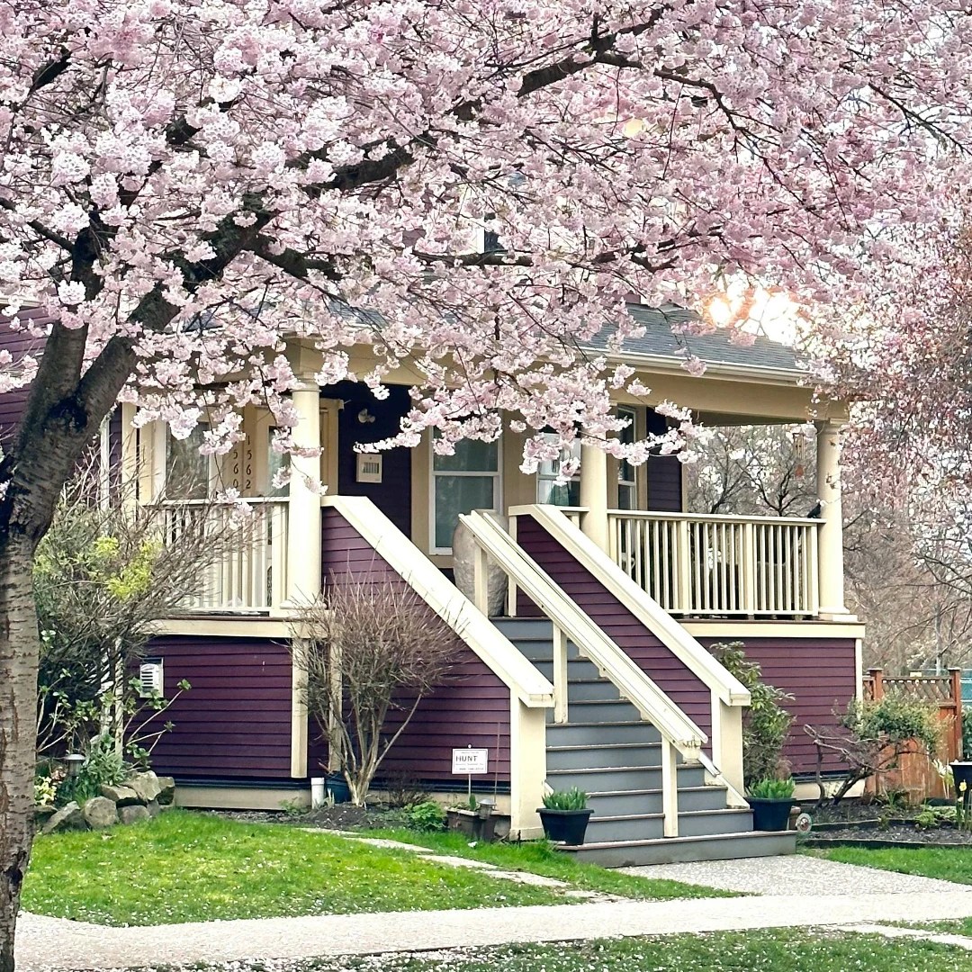 Grow Your Savings For The Future With RRSP, TFSA and&nbsp;FHSA